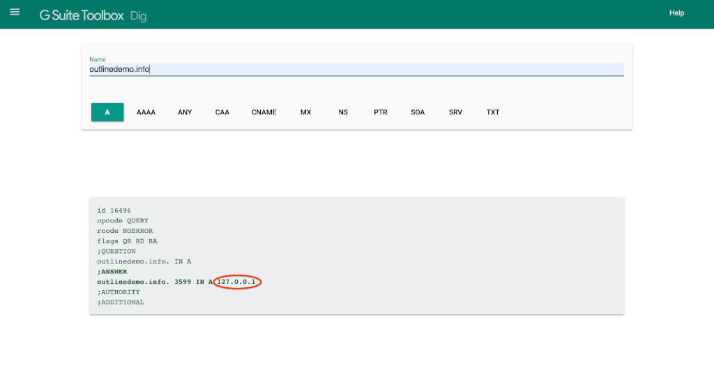 在 Google DNS 工具中搜索域名